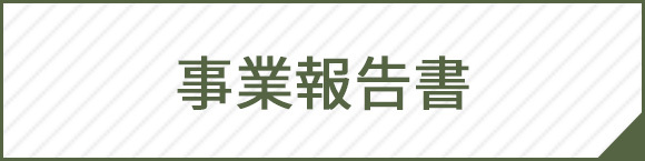 事業報告書